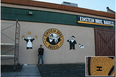 Einsteins pic goes here